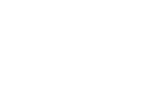 logo branca artemisia